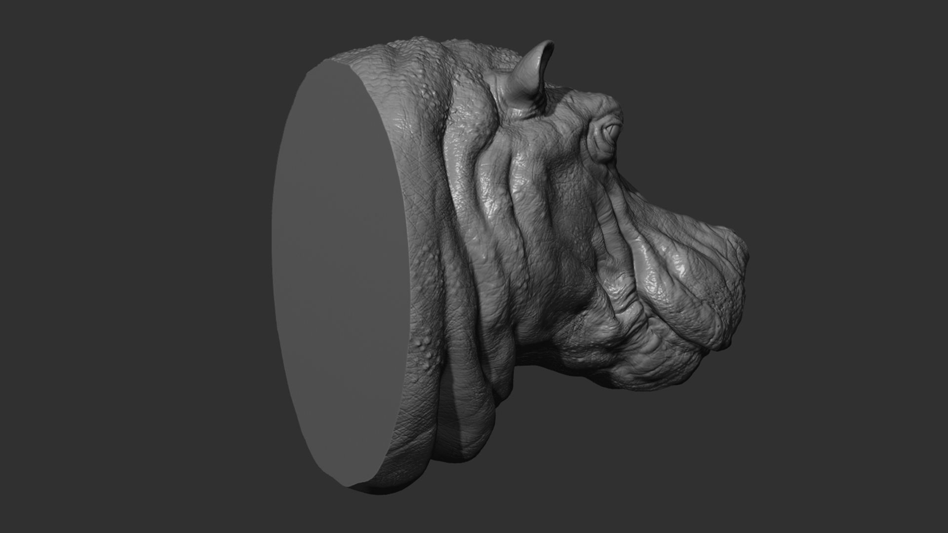 Hippopotamus head with background 3D print model_8