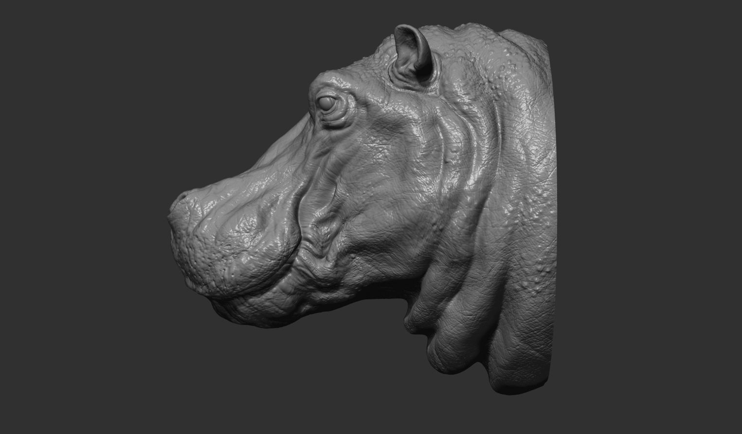 Hippopotamus head with background 3D print model_14