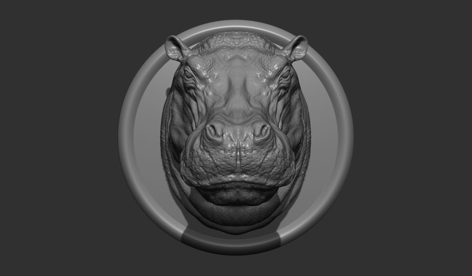 Hippopotamus head with background 3D print model_17