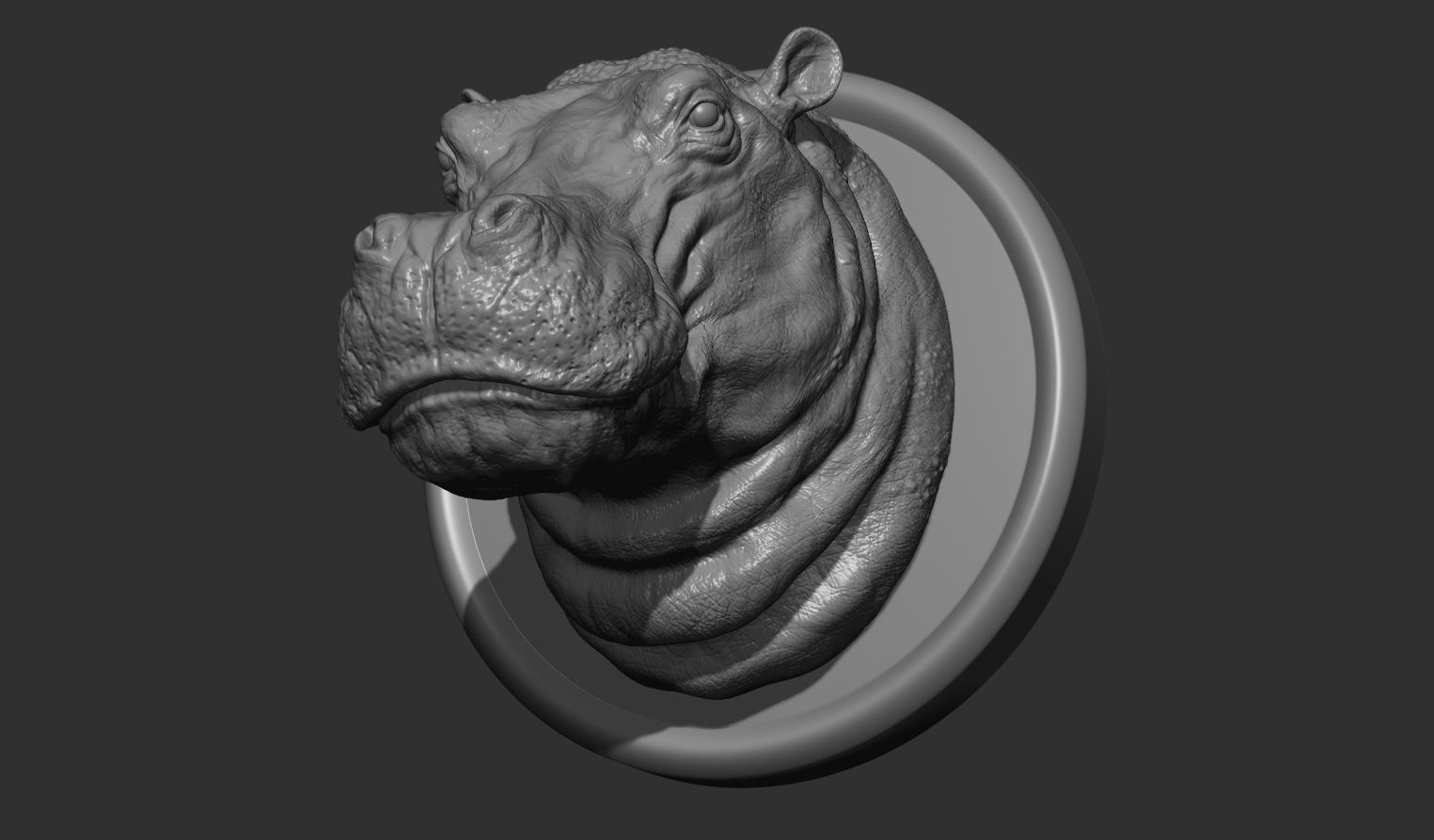 Hippopotamus head with background 3D print model_18