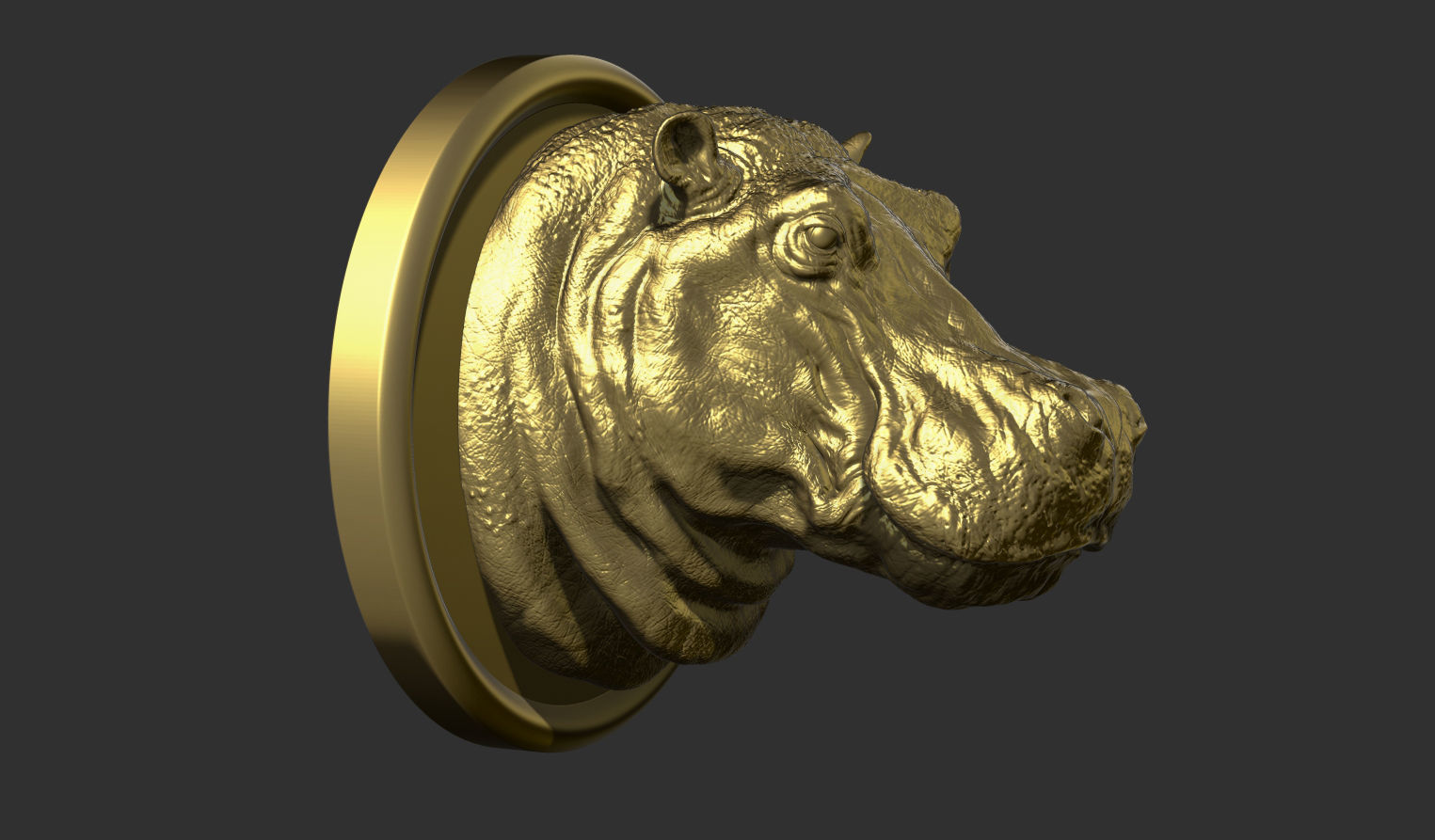 Hippopotamus head with background 3D print model_3