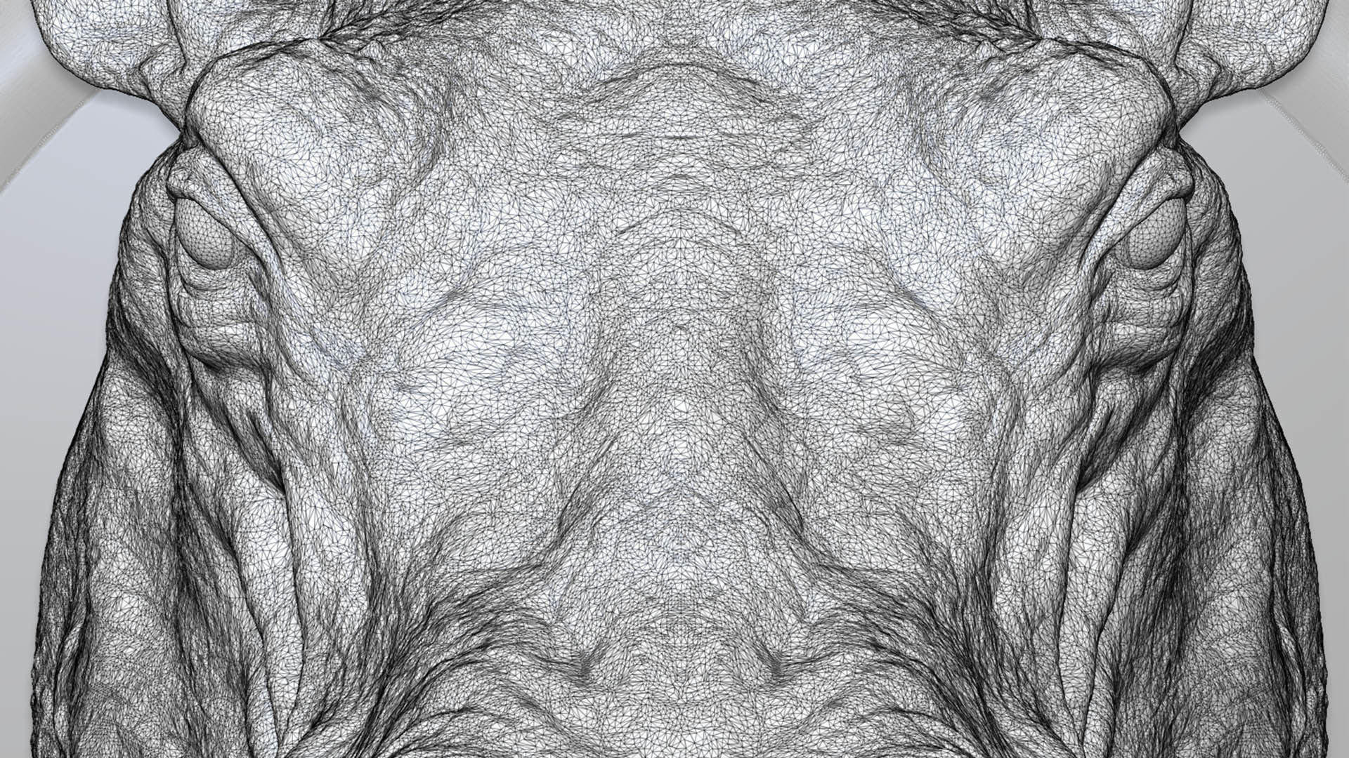 Hippopotamus head with background 3D print model_19