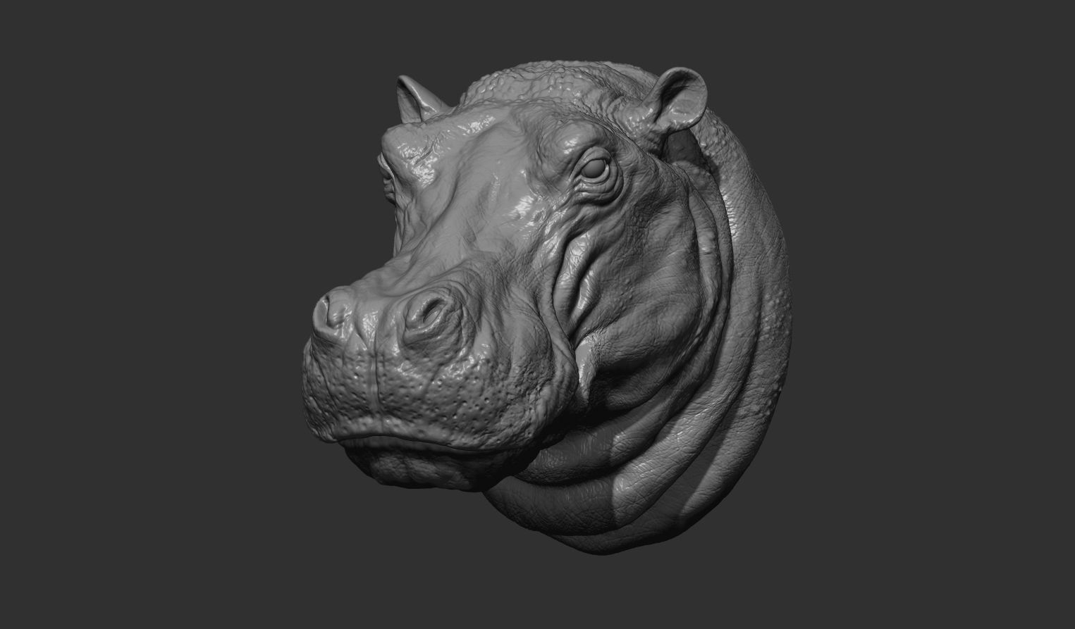Hippopotamus head with background 3D print model_15