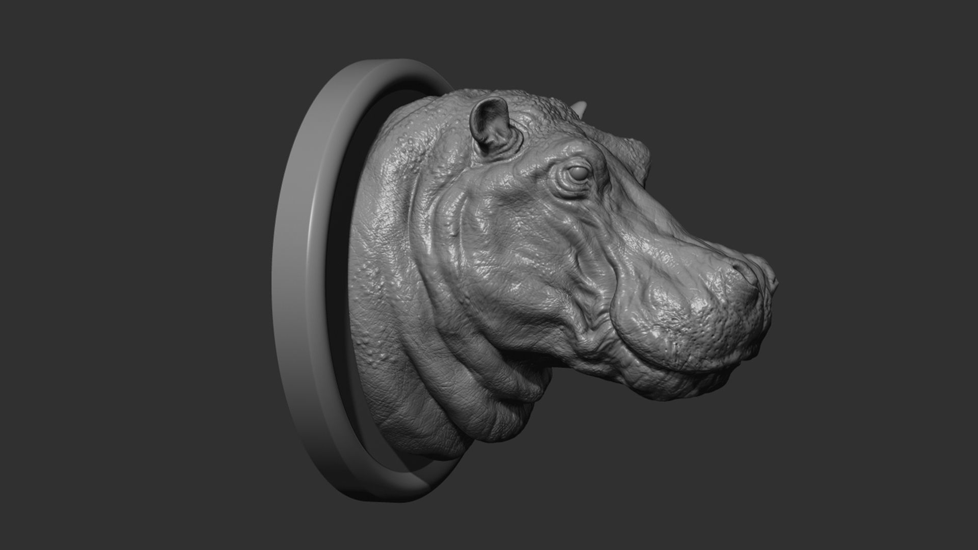 Hippopotamus head with background 3D print model_11