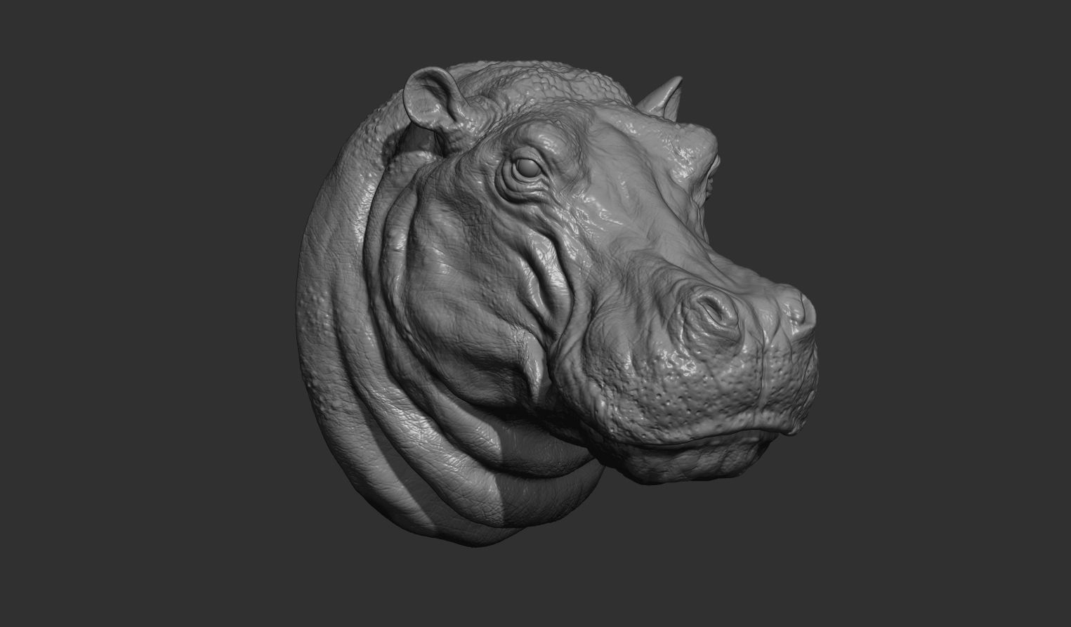 Hippopotamus head with background 3D print model_16