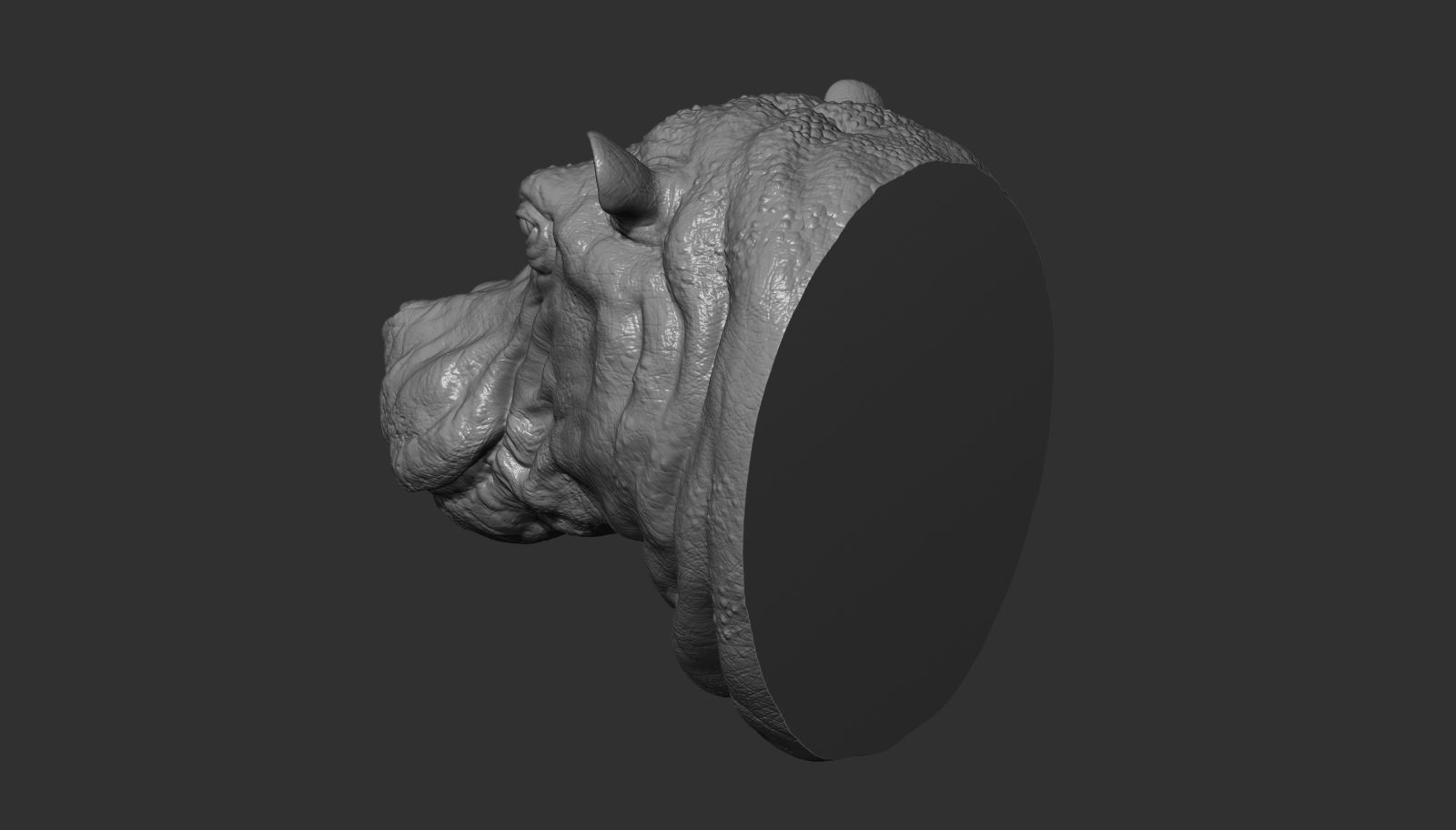 Hippopotamus head with background 3D print model_7