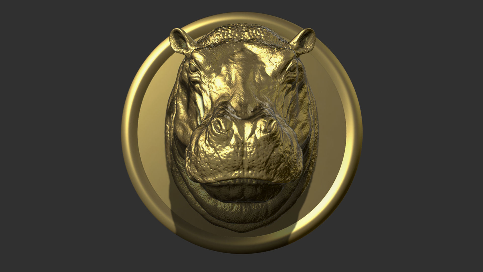 Hippopotamus head with background 3D print model_4