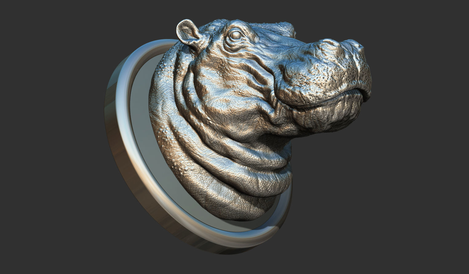 Hippopotamus head with background 3D print model_2