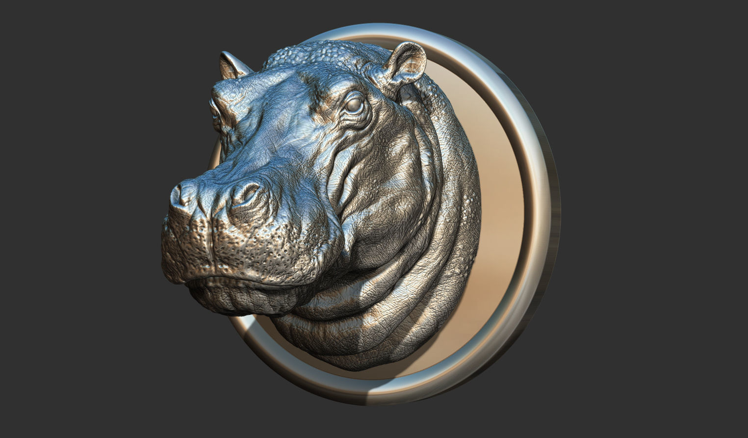 Hippopotamus head with background 3D print model_1