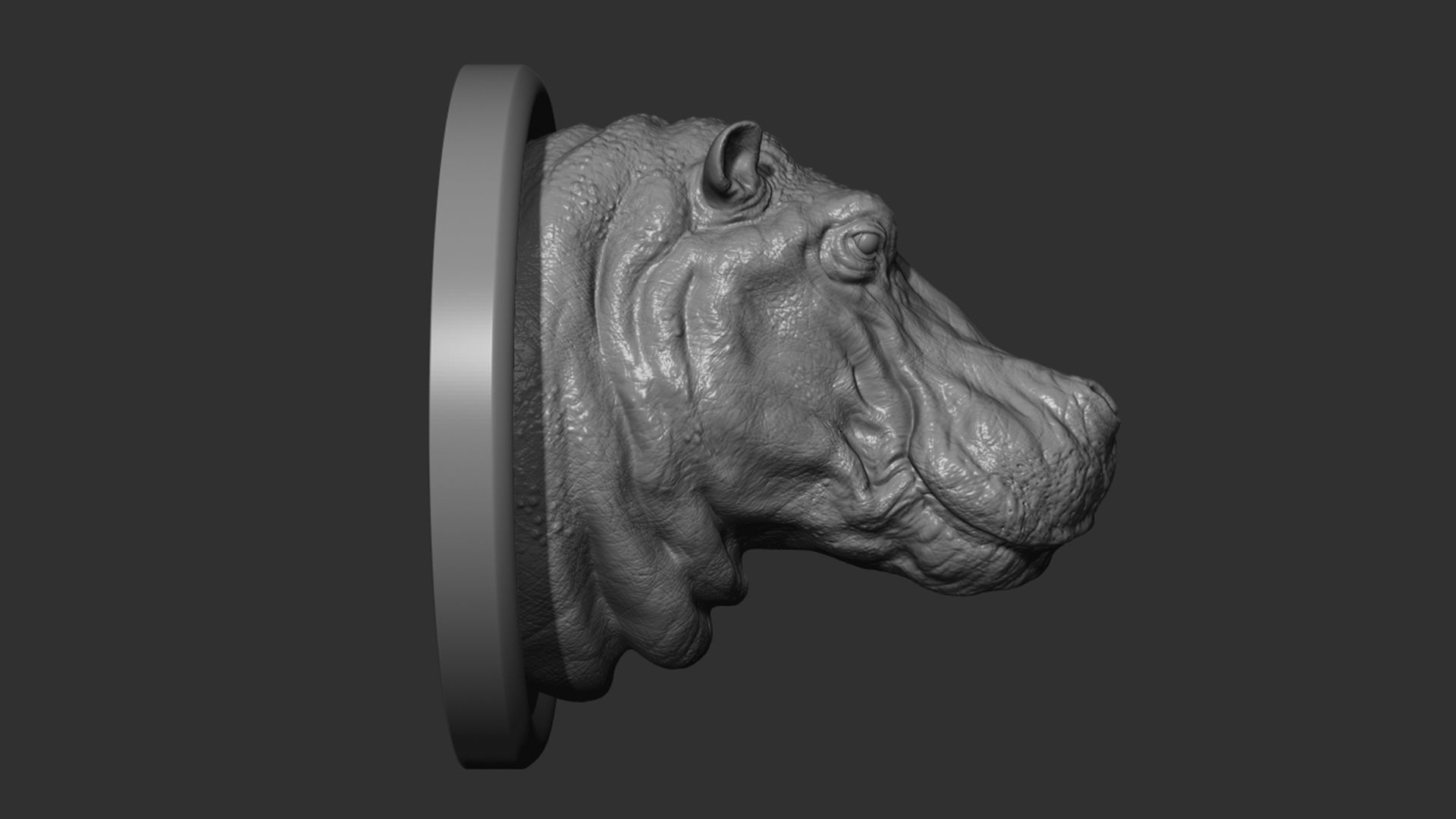 Hippopotamus head with background 3D print model_10