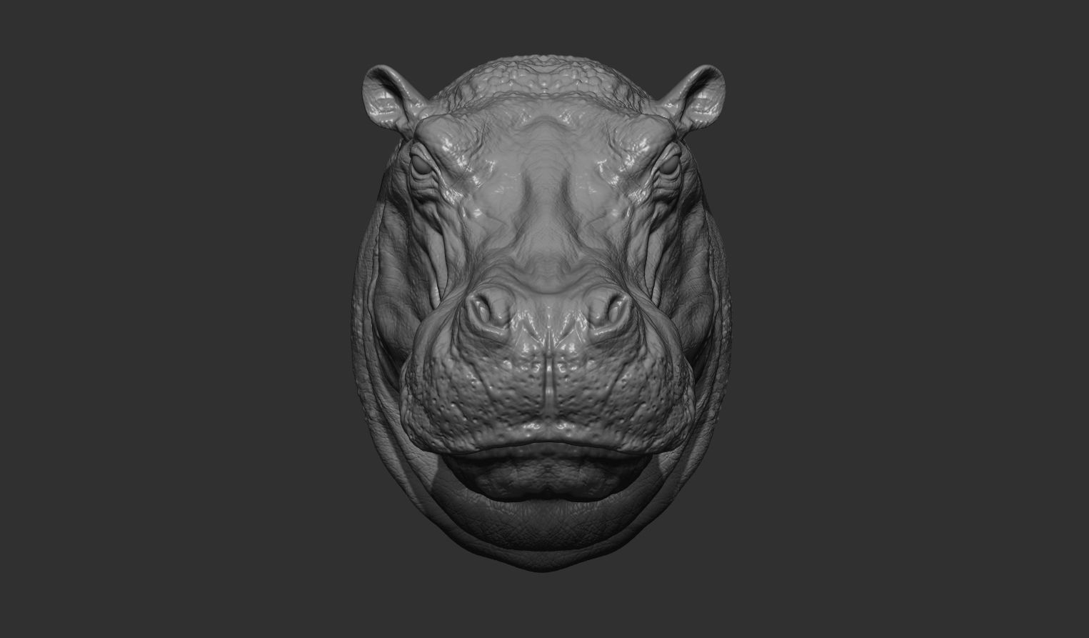 Hippopotamus head with background 3D print model_12