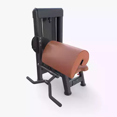 Curl machine 3D model