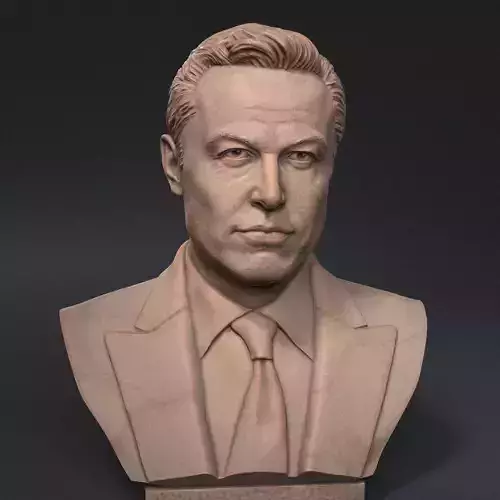 Elon Musk 3D print model