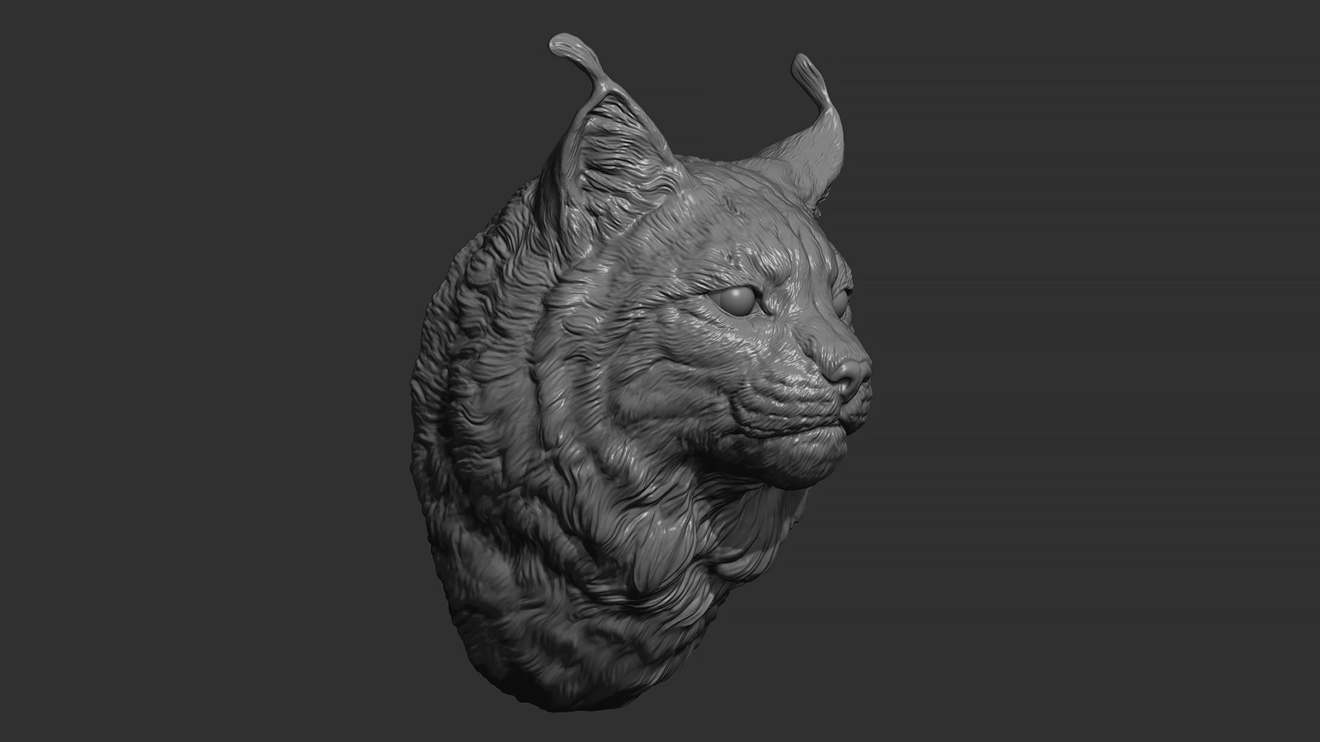 Lynx head 3D print model_14