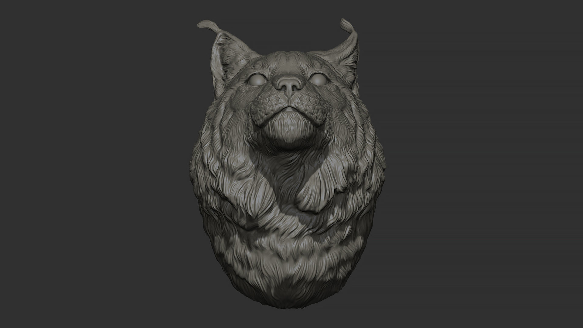 Lynx head 3D print model_17
