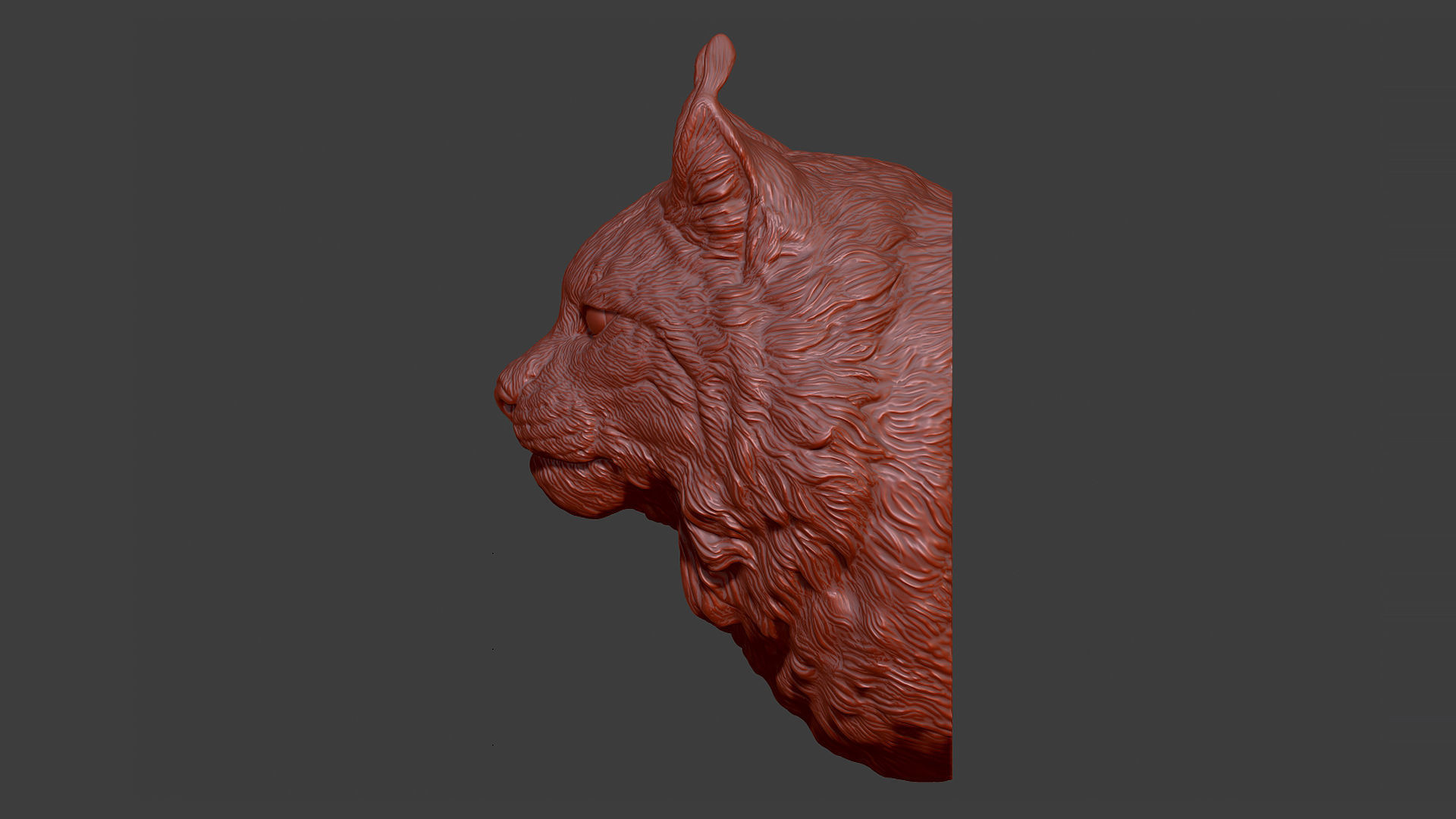Lynx head 3D print model_2