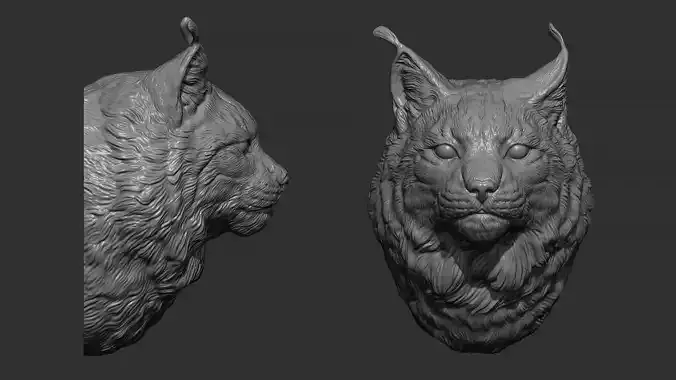 Lynx head 3D print model
