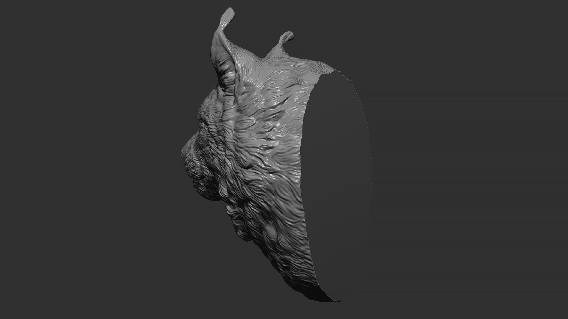Lynx head 3D print model_10