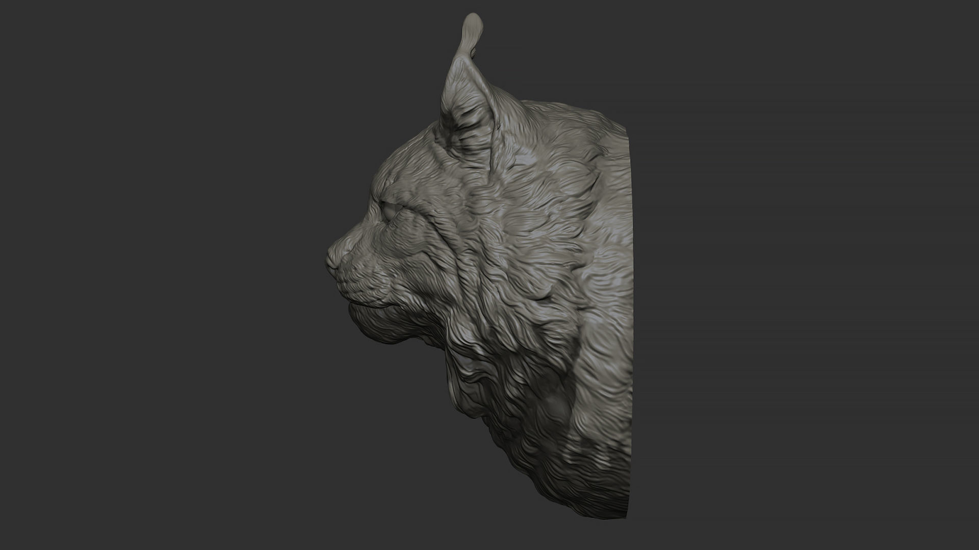 Lynx head 3D print model_16
