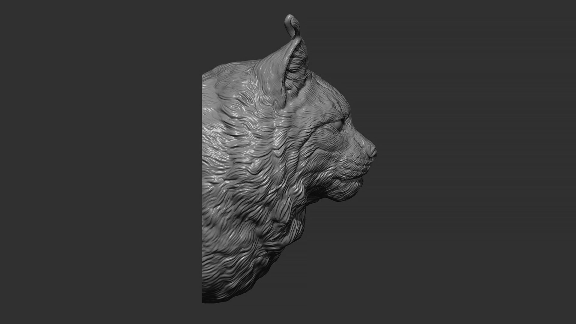 Lynx head 3D print model_13