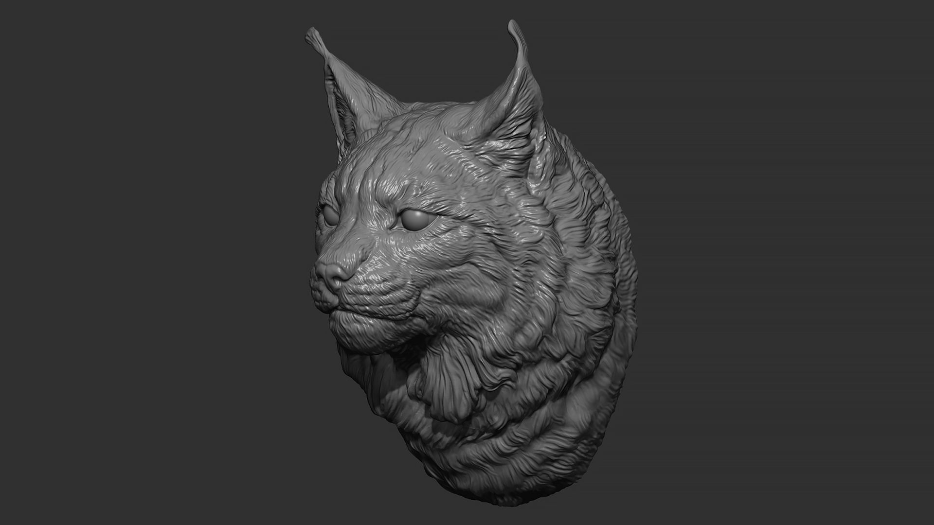 Lynx head 3D print model_9