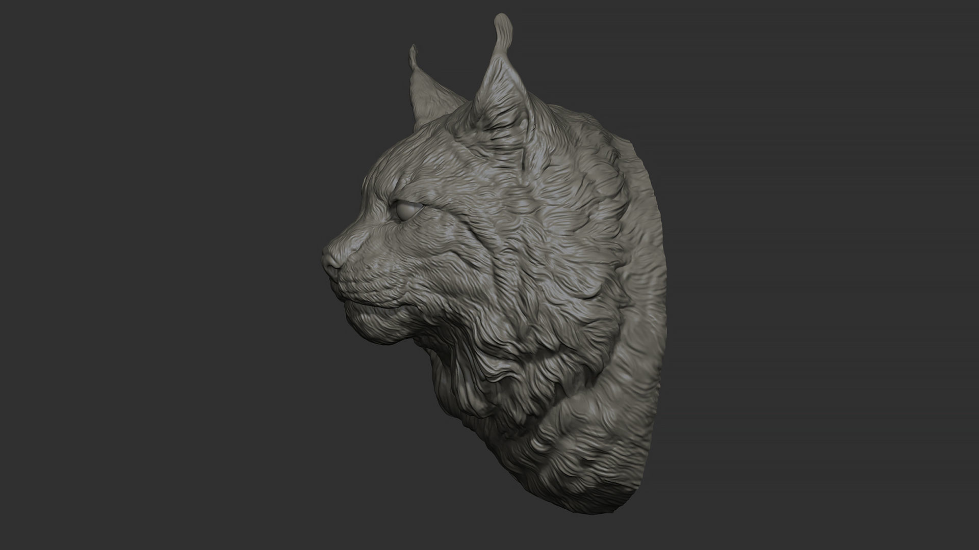 Lynx head 3D print model_18
