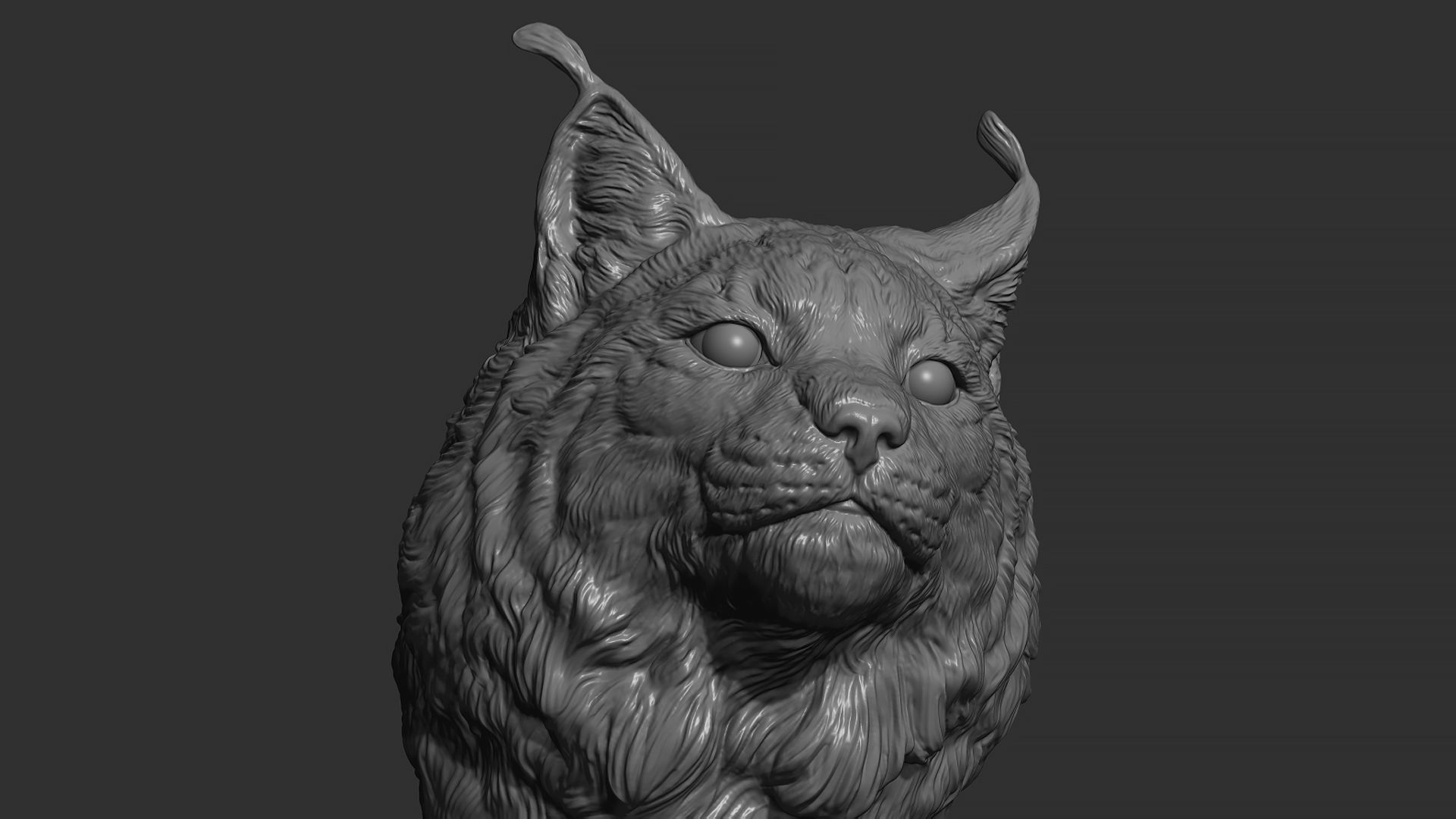 Lynx head 3D print model_12