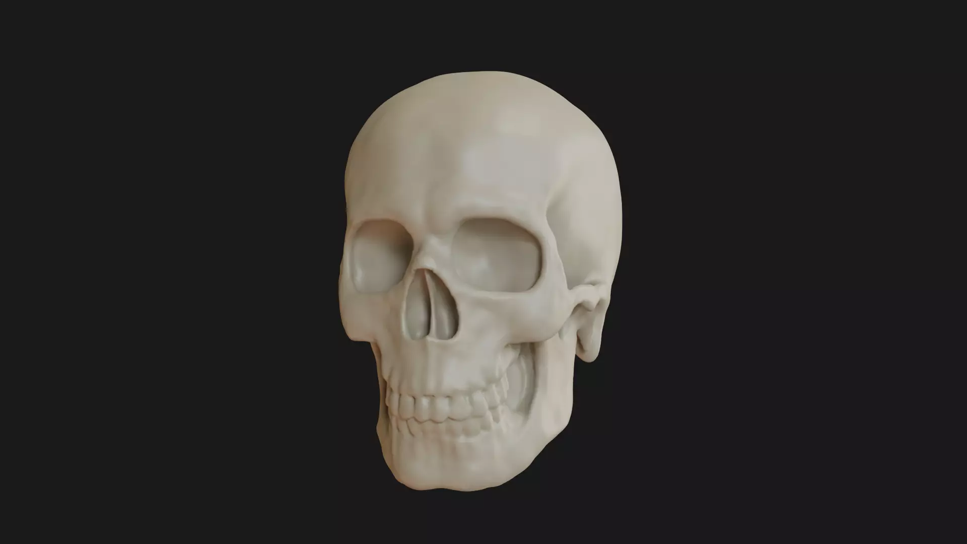 Male human skull 3D model_0