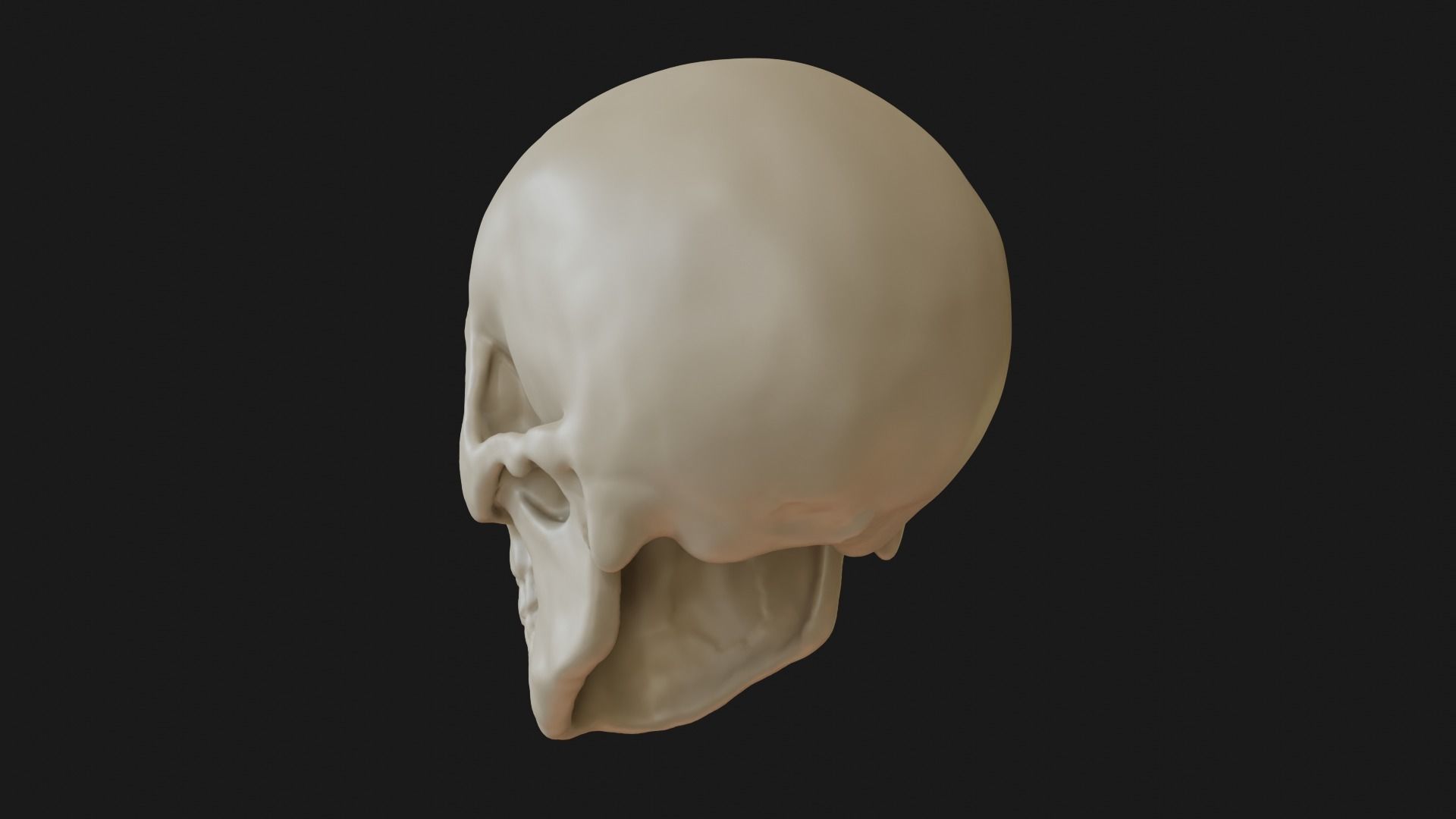 Male human skull 3D model_10