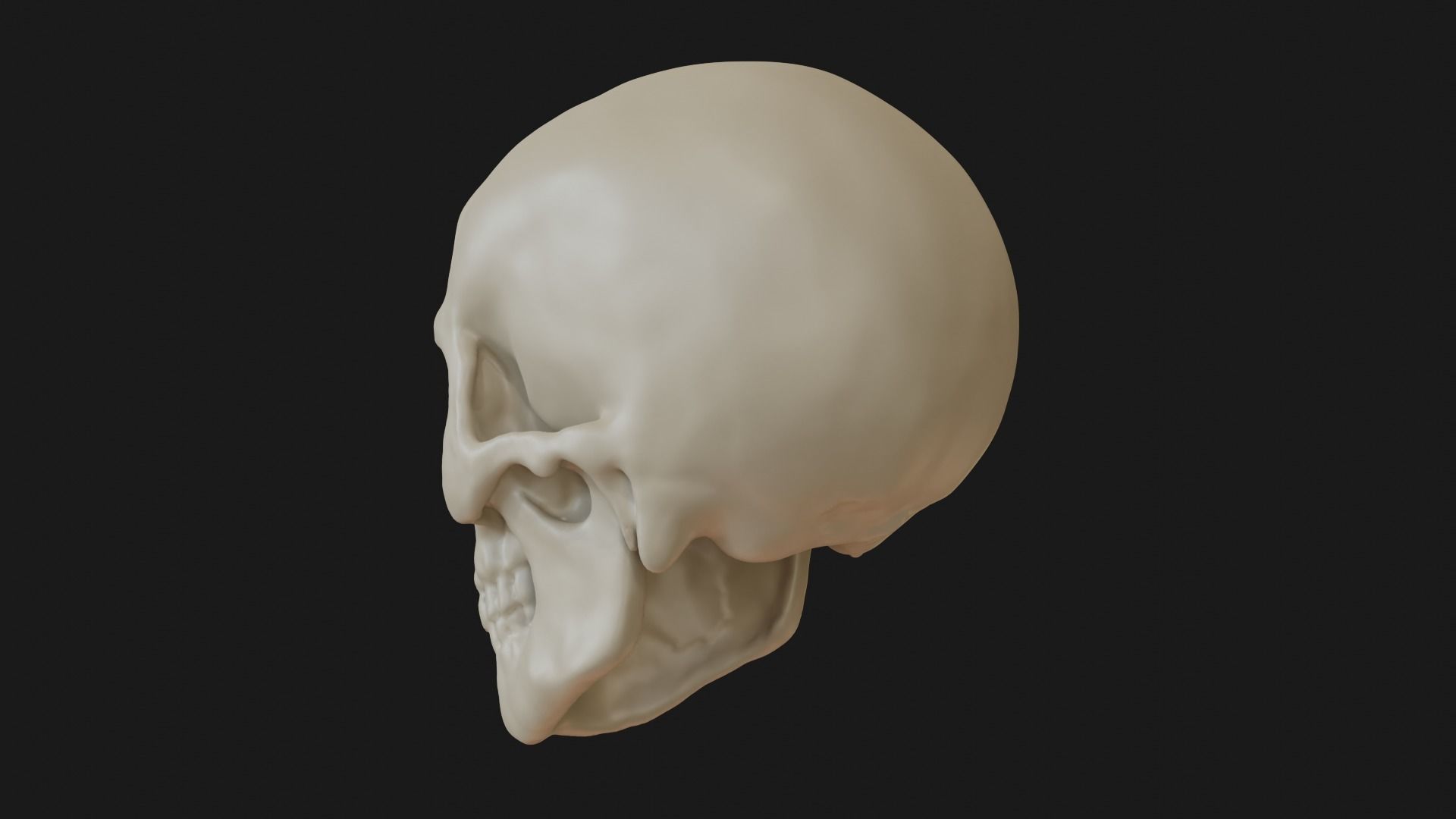 Male human skull 3D model_9