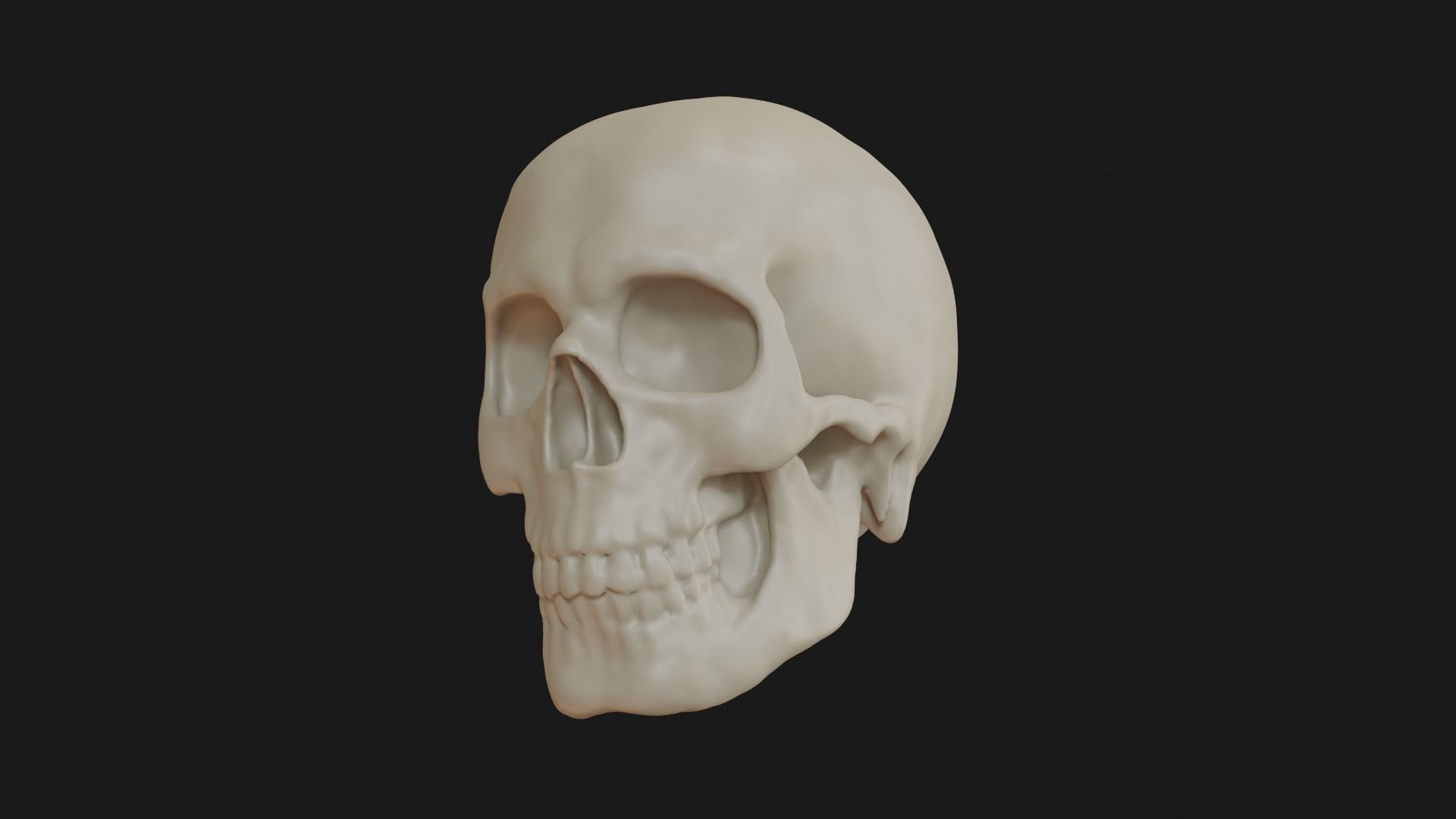 Male human skull 3D model_15
