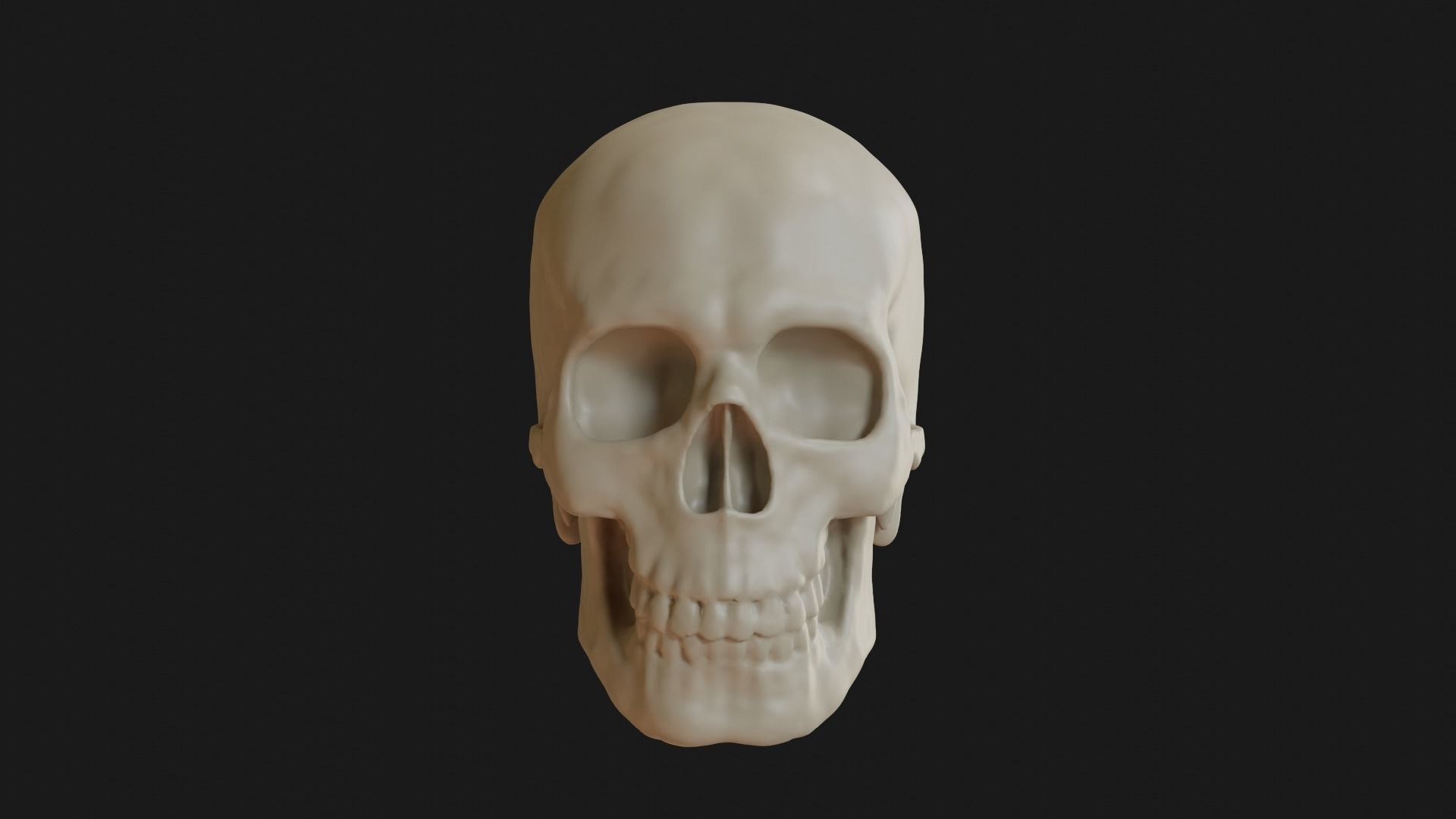 Male human skull 3D model_2