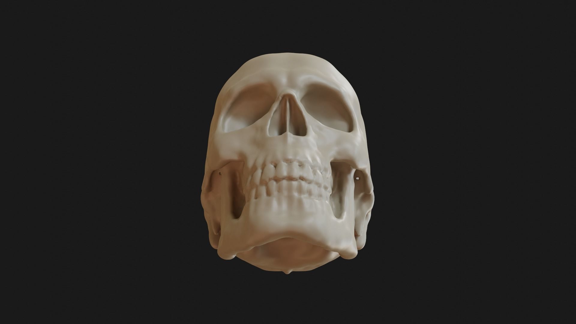 Male human skull 3D model_12