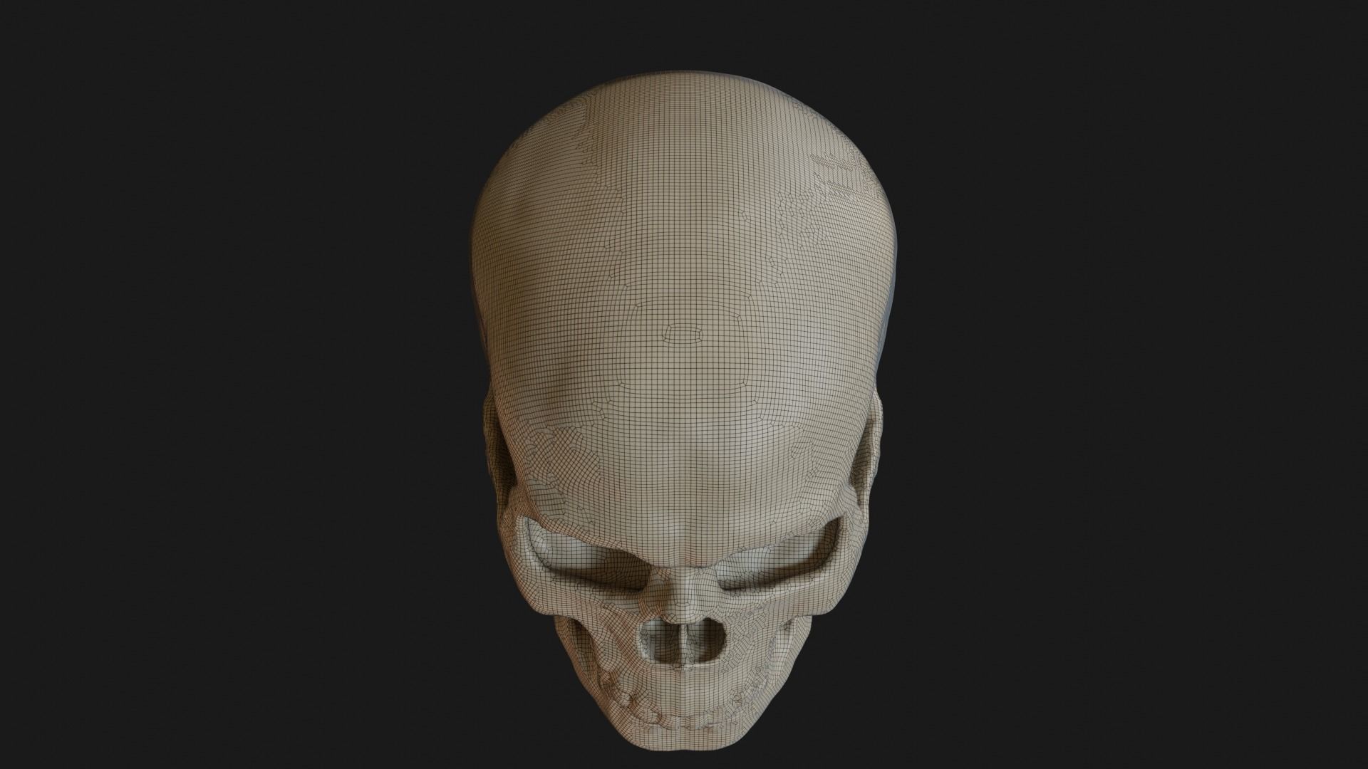 Male human skull 3D model_25