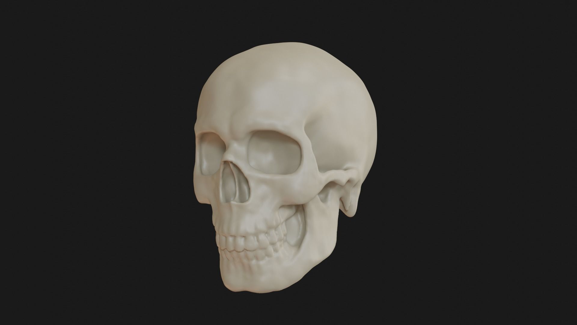 Male human skull 3D model_3