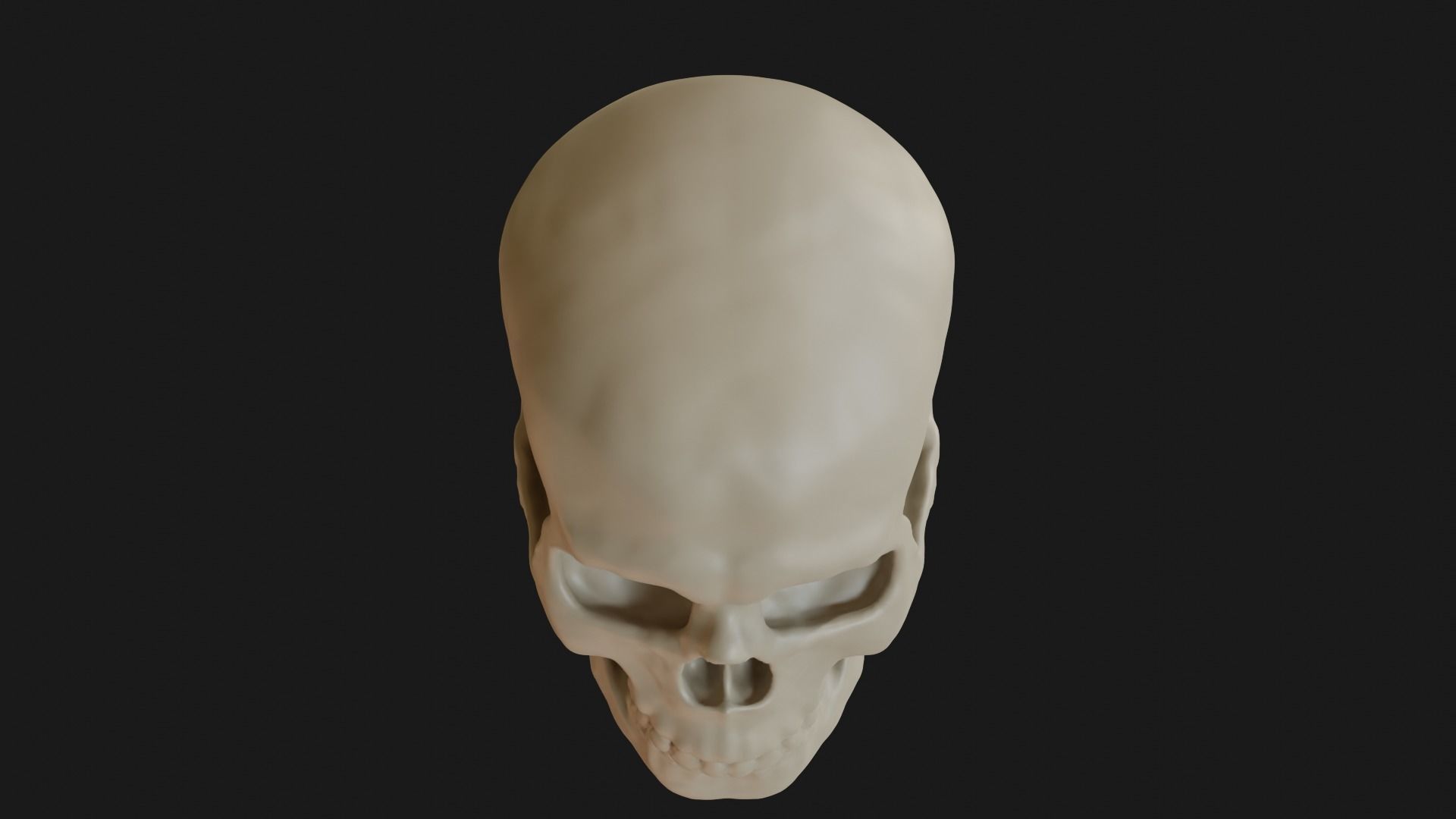 Male human skull 3D model_11