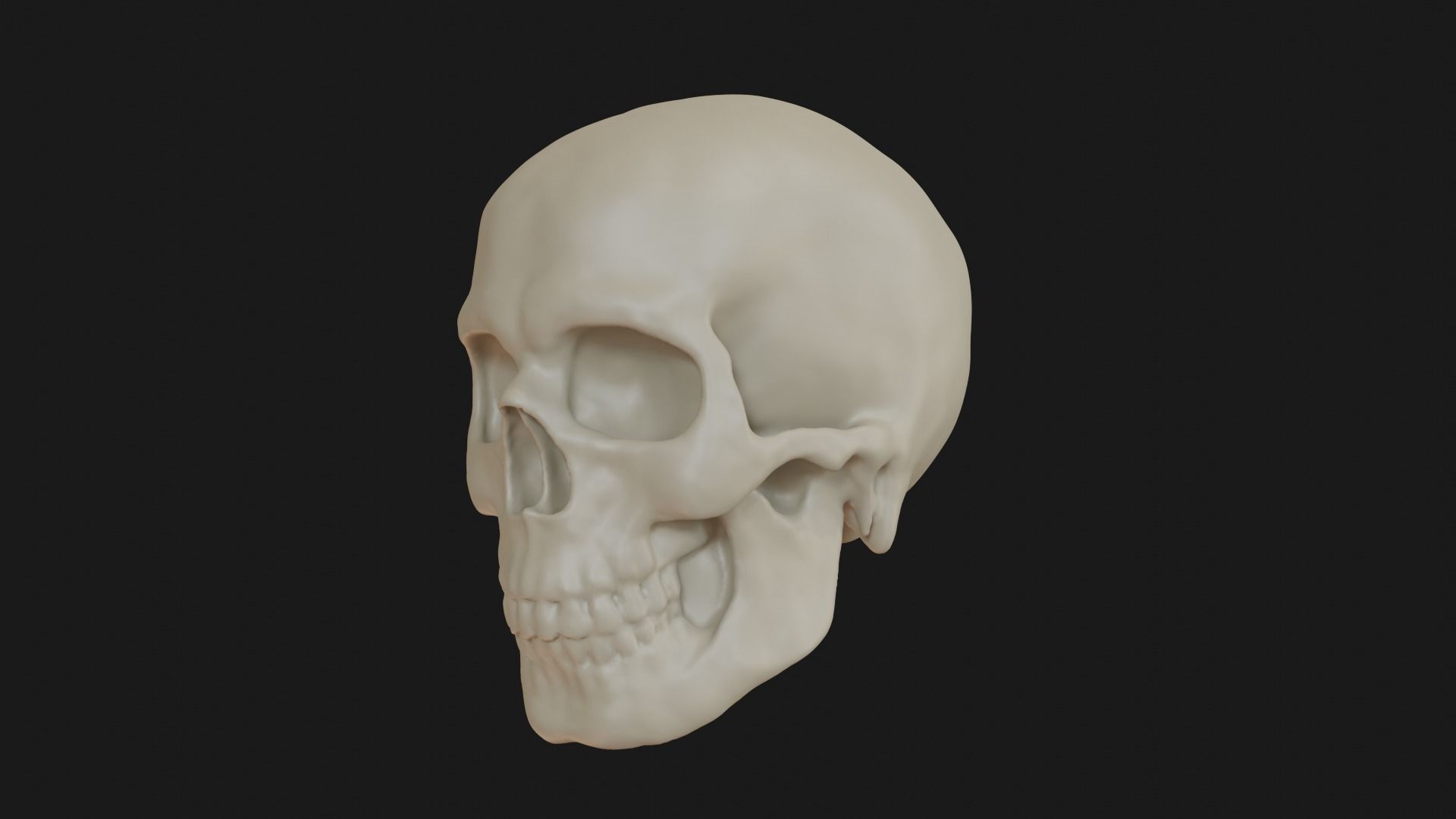 Male human skull 3D model_4