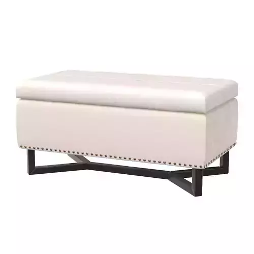 Esther Modern Upholstered Storage Ottoman