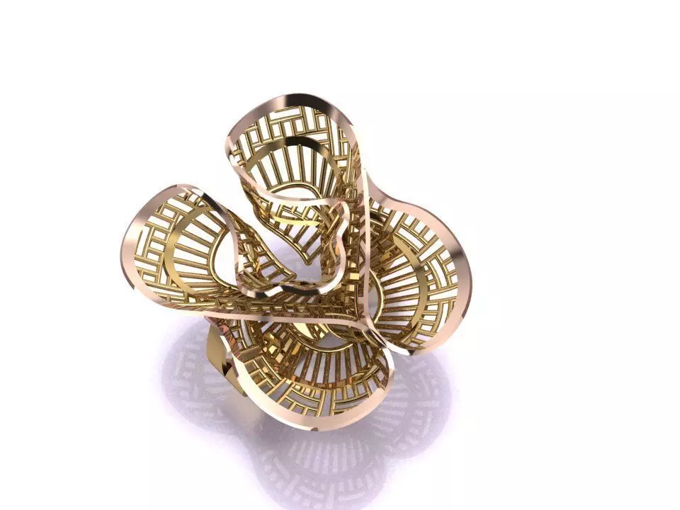 RING B213 3D print model_0