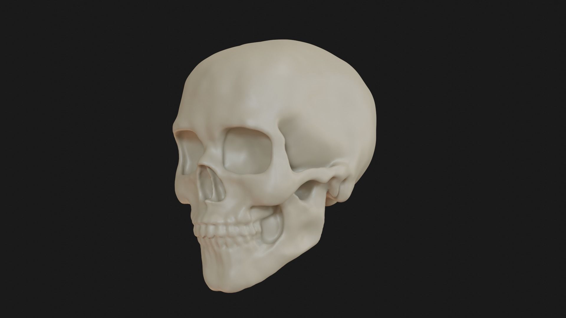 Female human skull 3D model_4