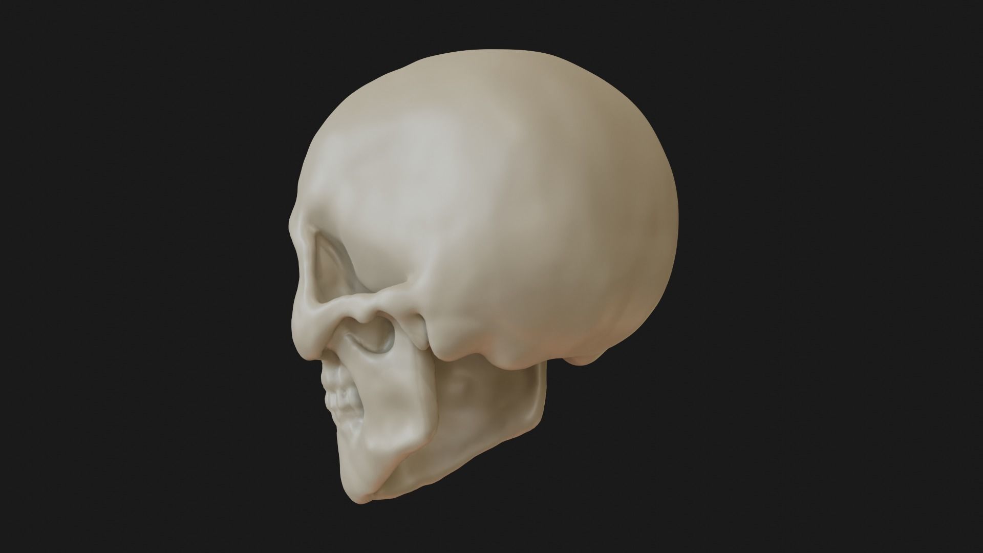 Female human skull 3D model_9