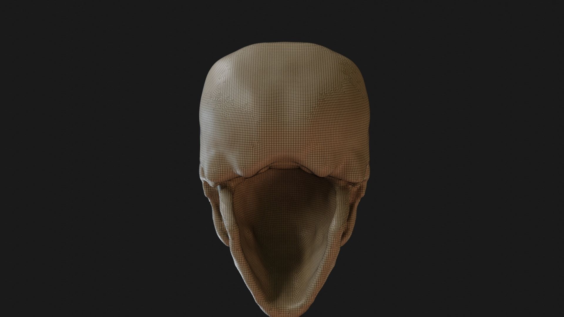 Female human skull 3D model_27