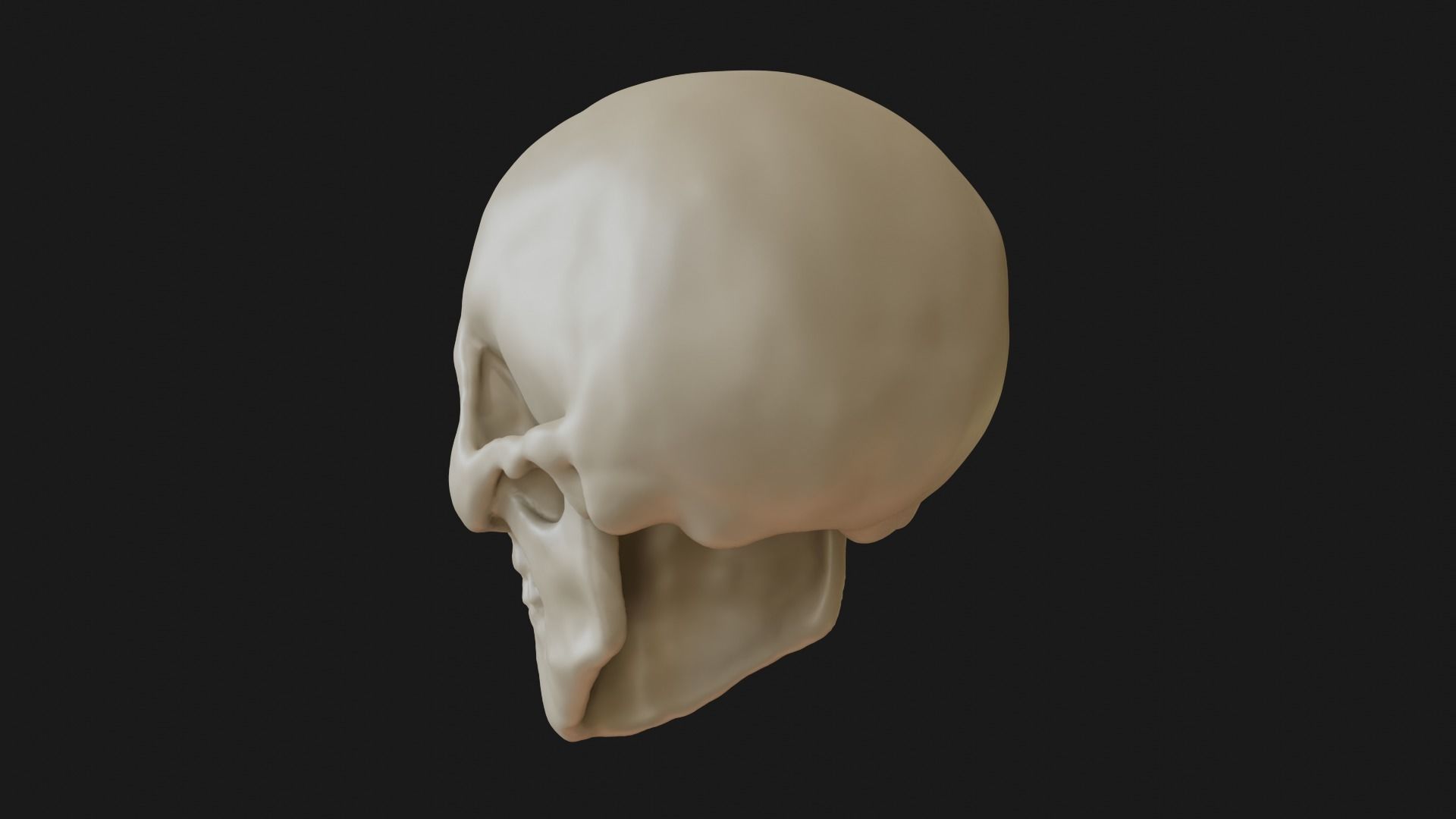Female human skull 3D model_10