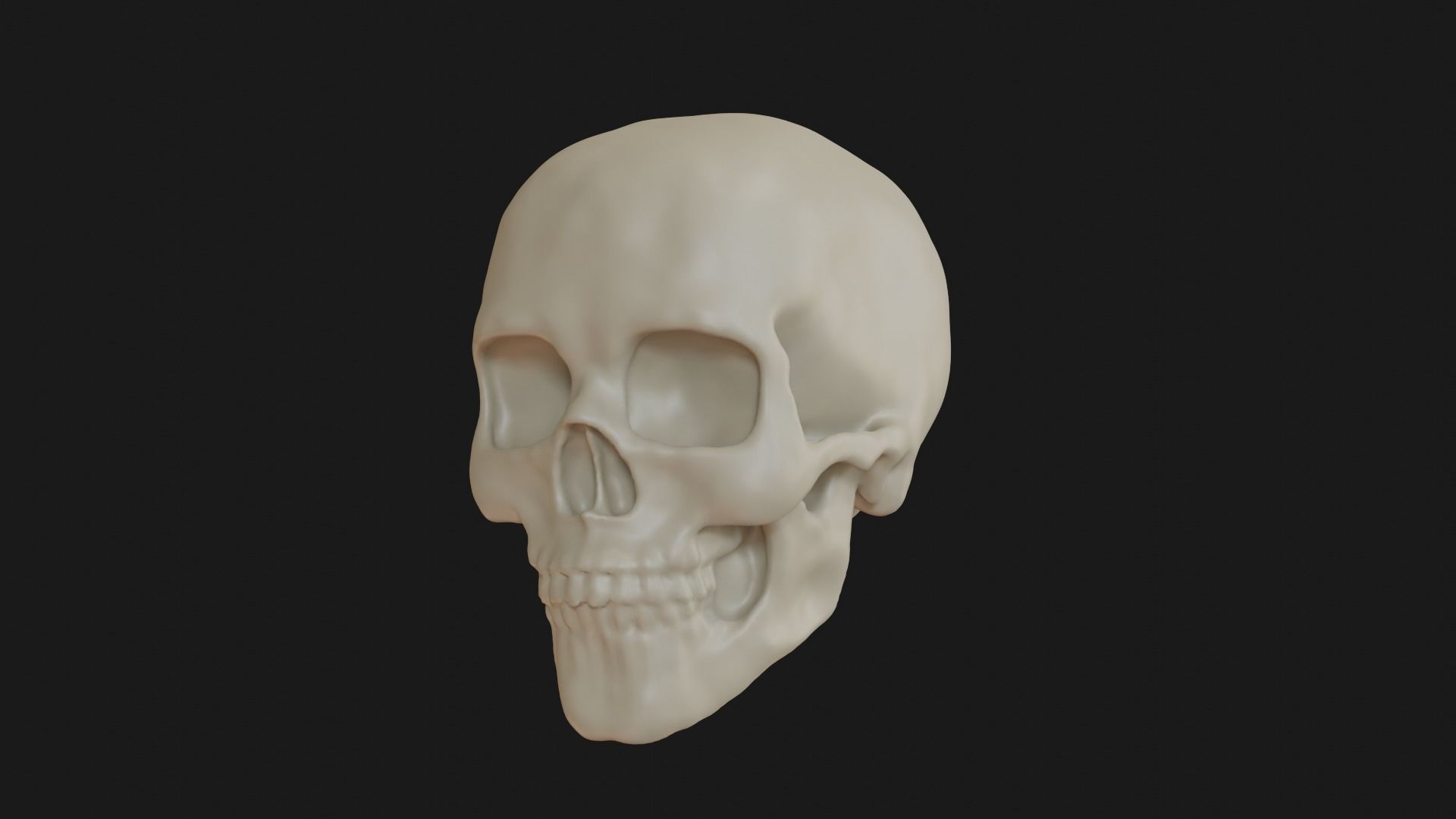 Female human skull 3D model_3