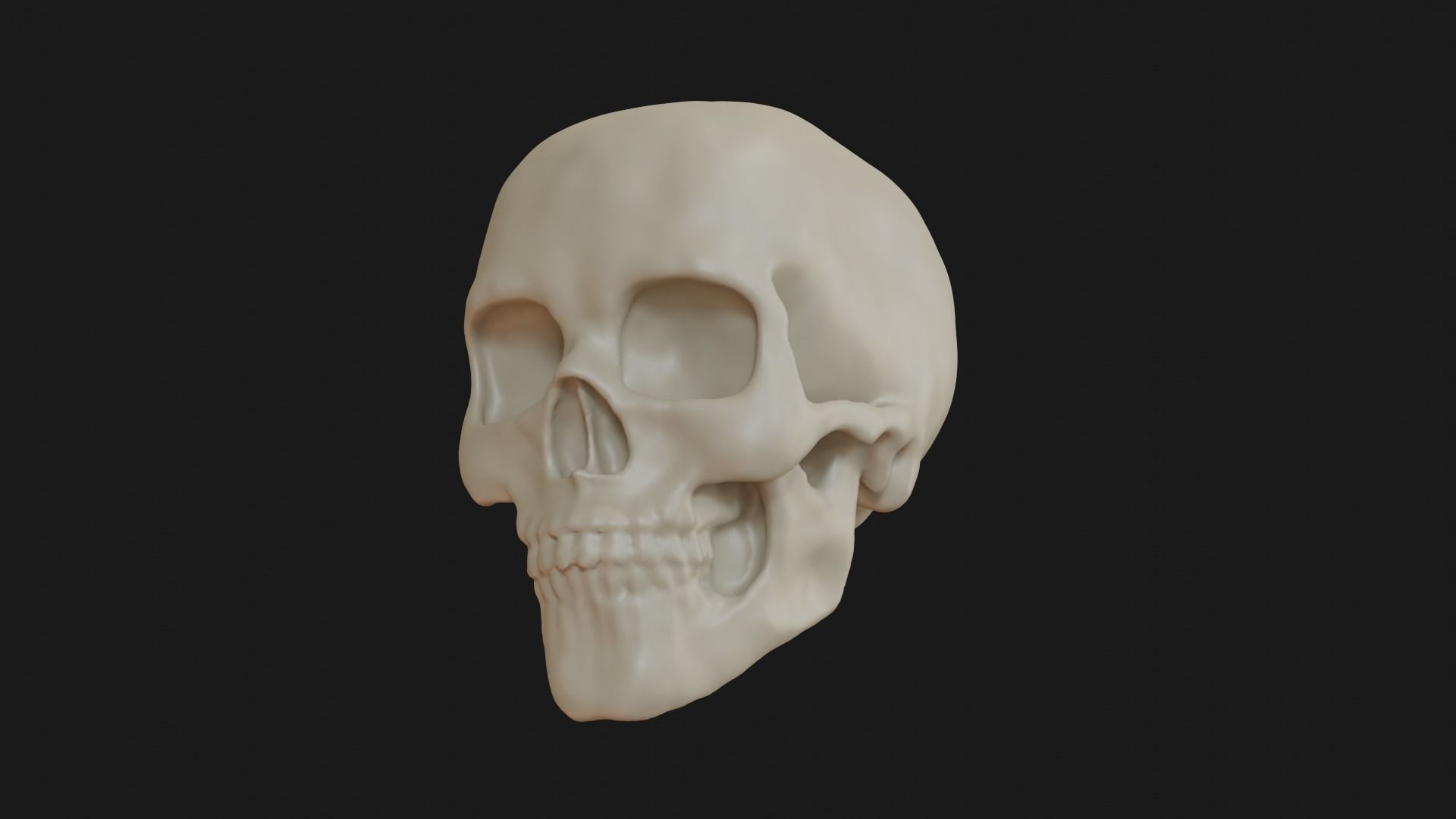 Female human skull 3D model_15