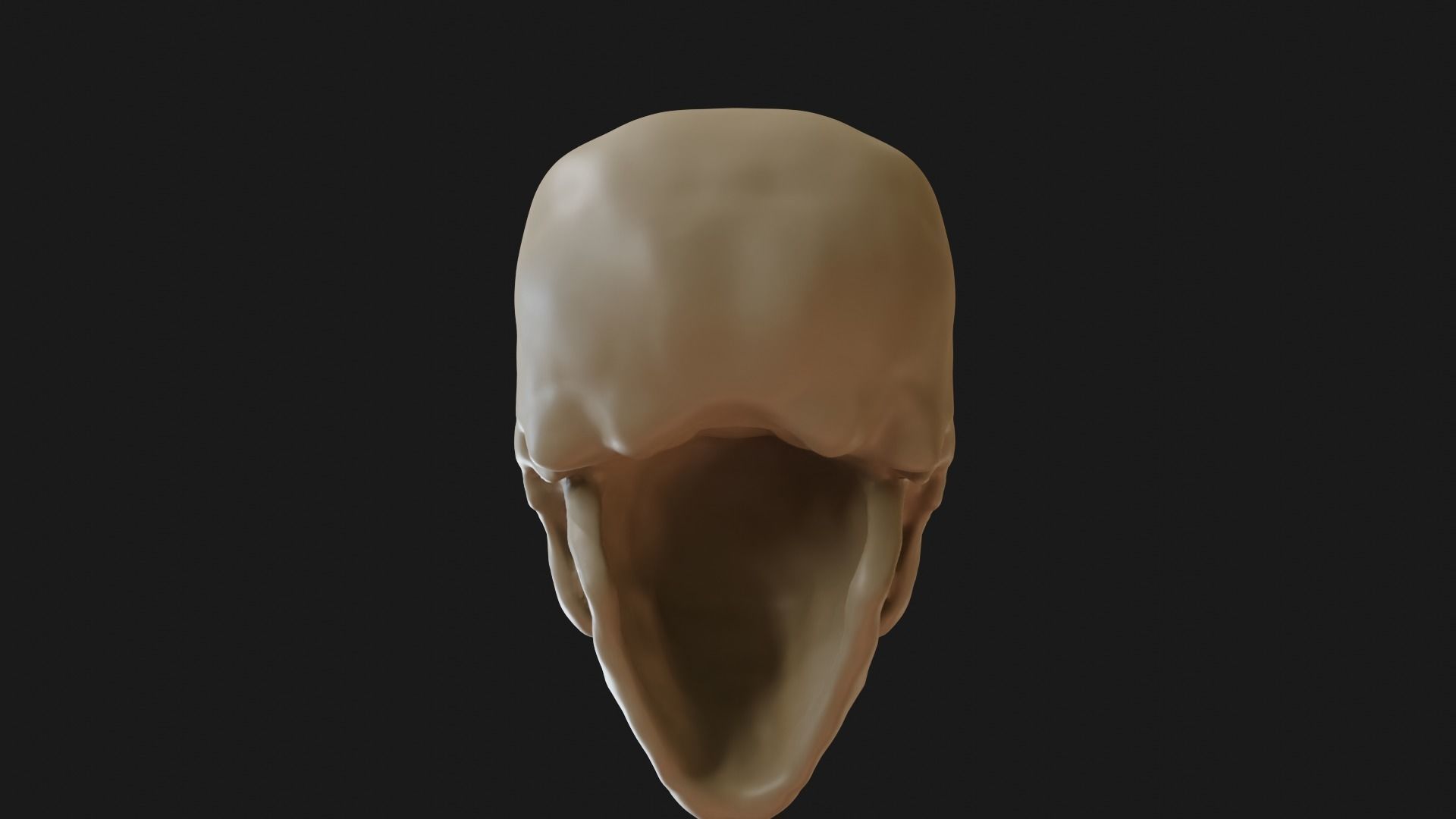Female human skull 3D model_13