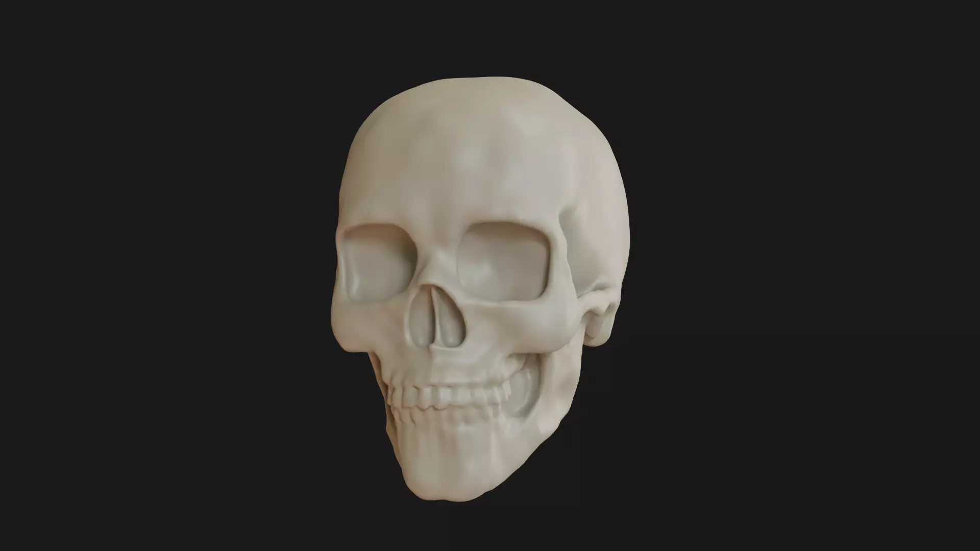 Female human skull 3D model_0