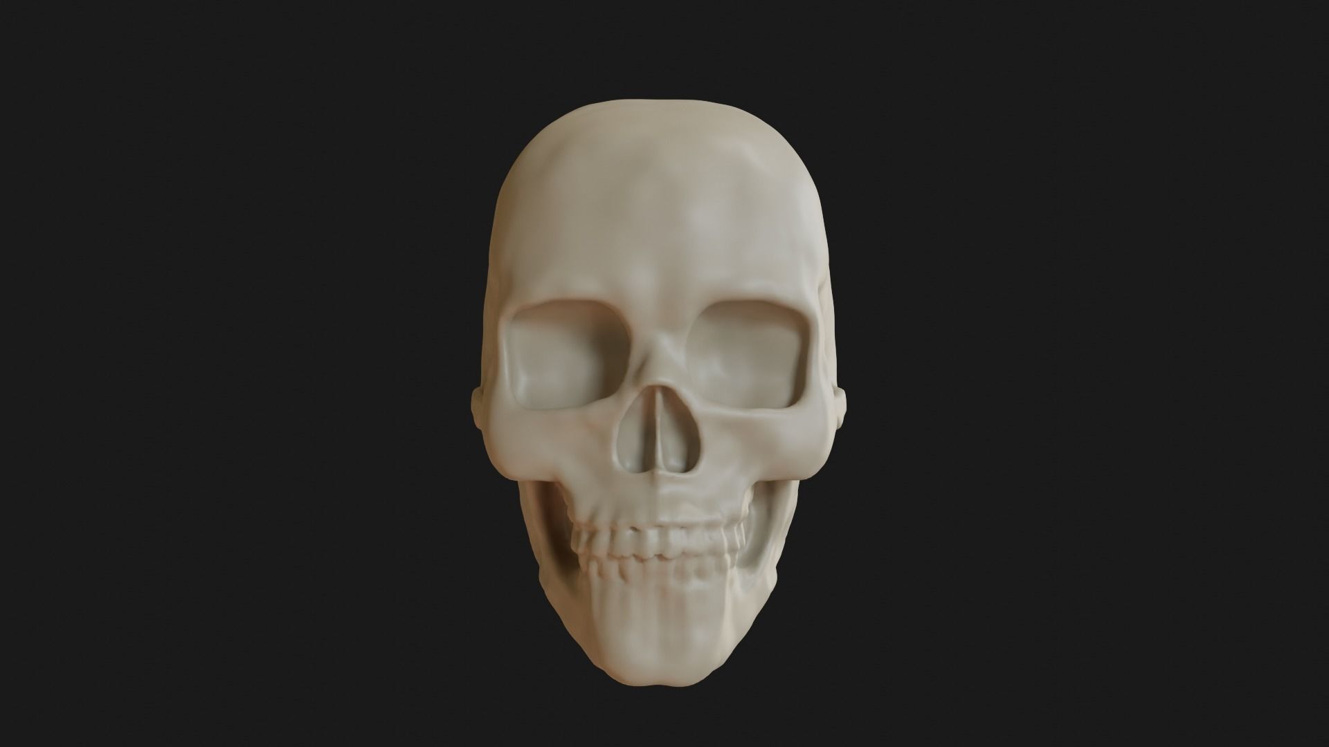 Female human skull 3D model_2