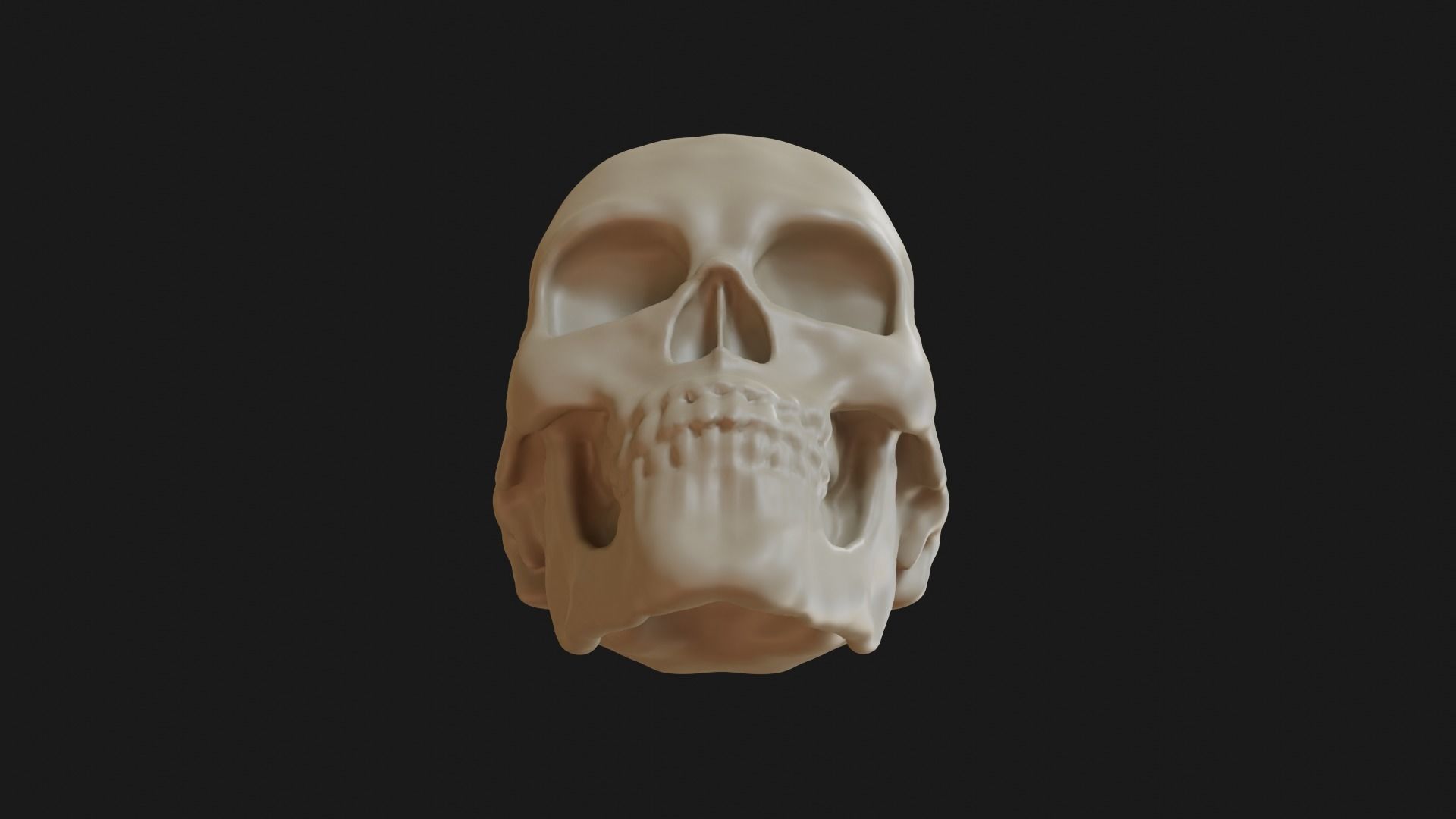 Female human skull 3D model_12