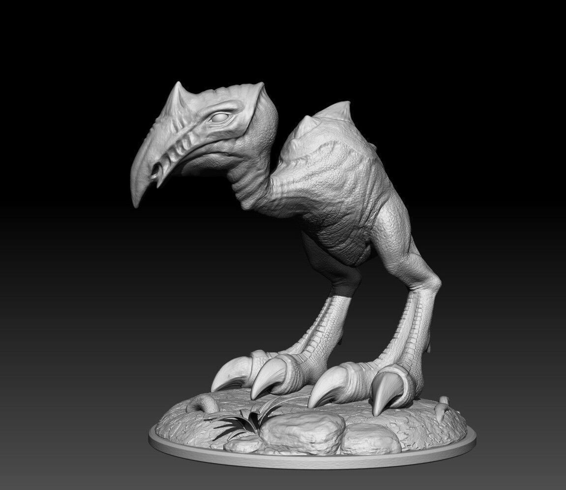 Scavenger bird Free 3D print model_3